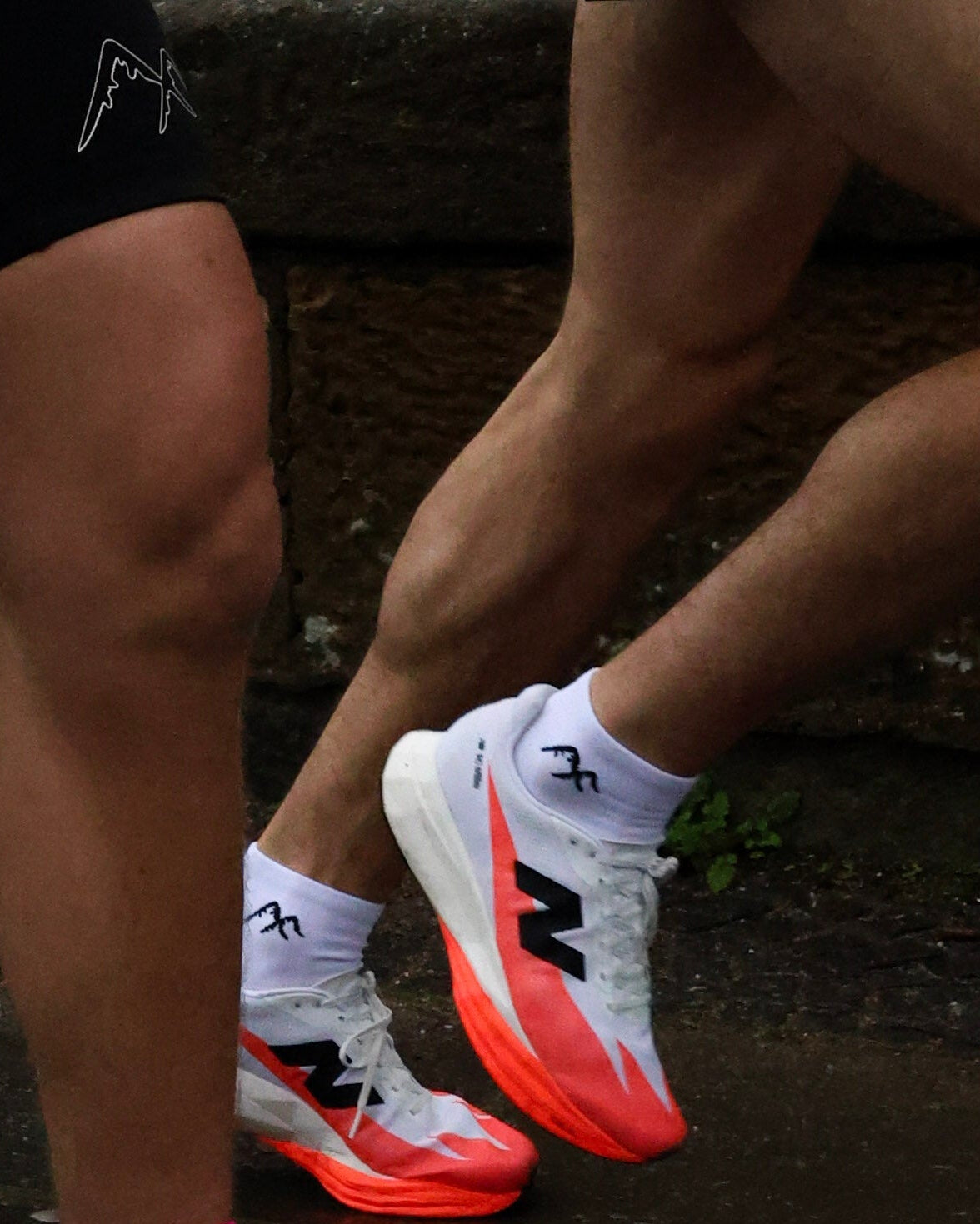 close up of white short crew running sock
